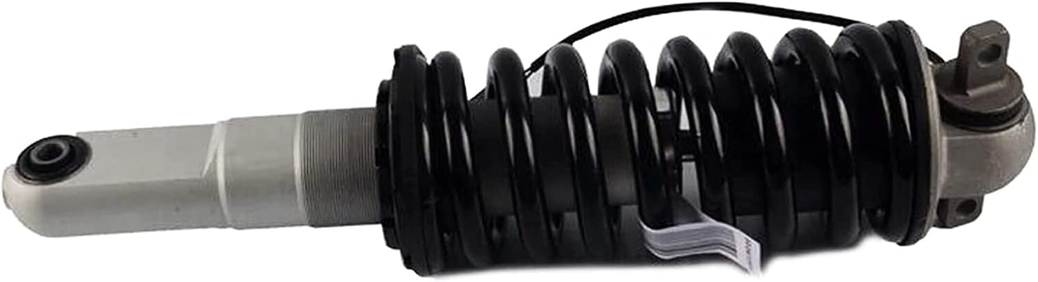 Rear Left or Right Shock Struts Magnetic 174724 For Ferrari 360 Modena Spider 2000-2005